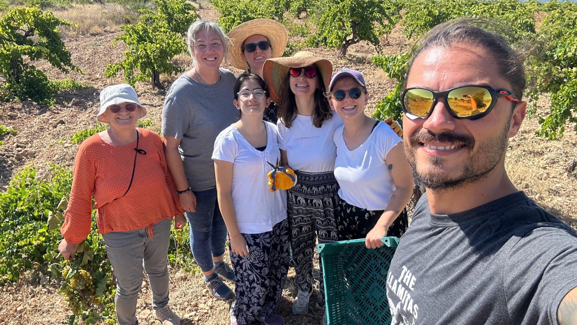 9a1c7123-ac1e-40fd-88b1-e7dfdd140664