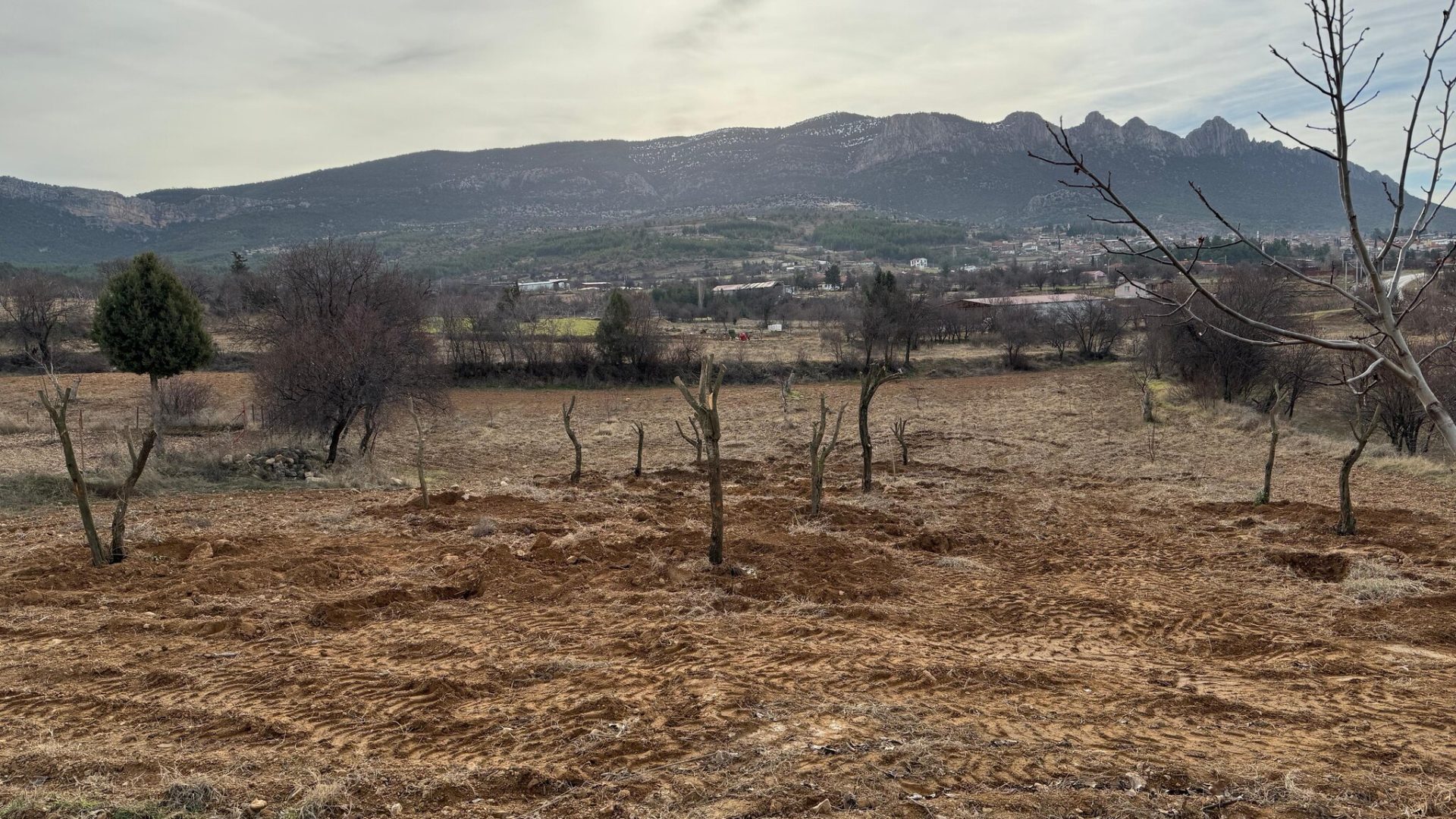 PHOTO-2026-01-25-10-39-17