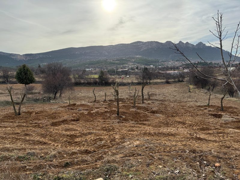 Havva'nın Cennet Bahçesi