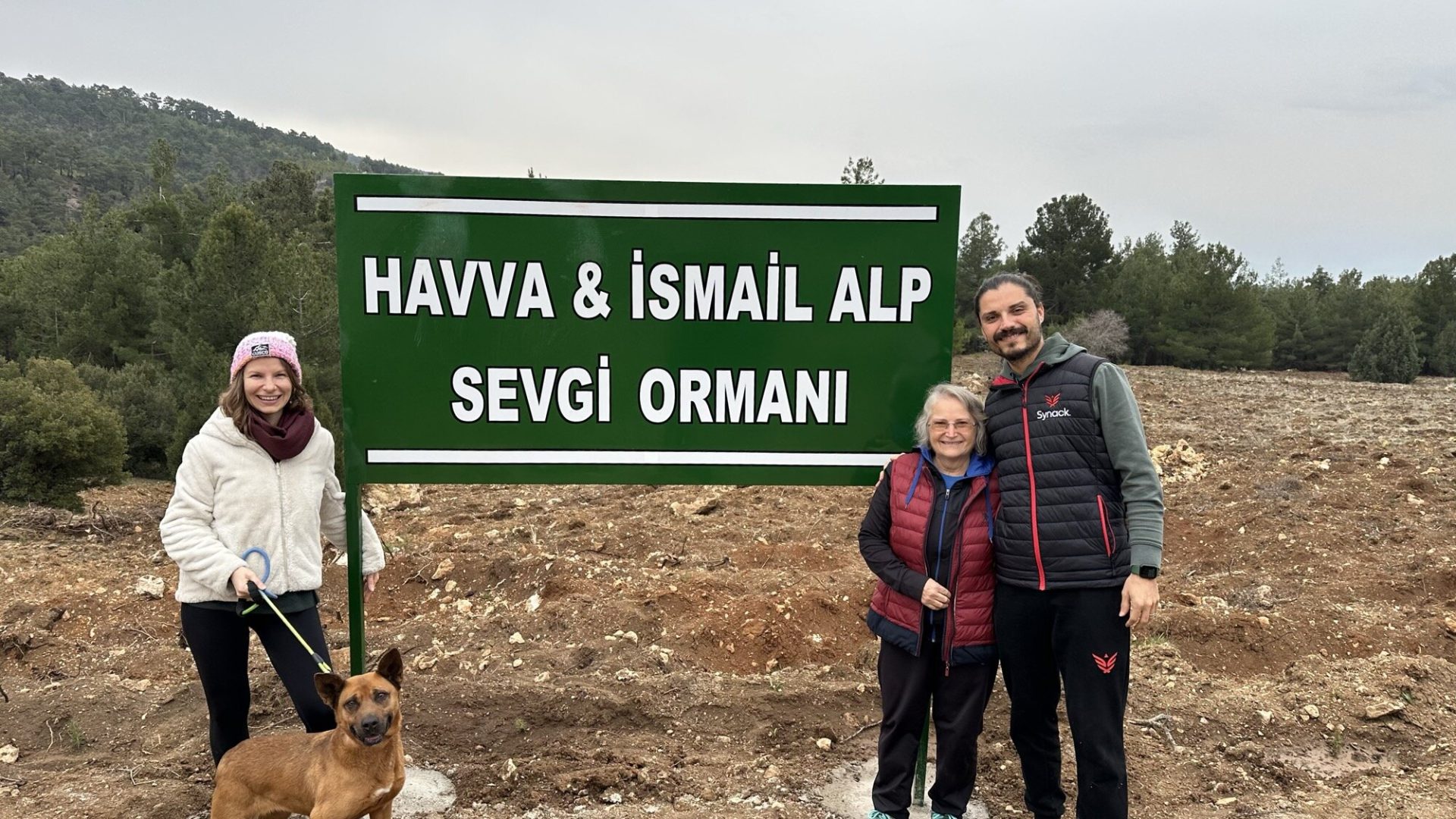 Sevgi Ormanı 1